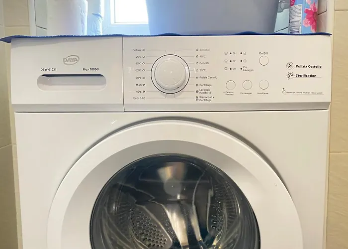 Miraflowers * 토리노